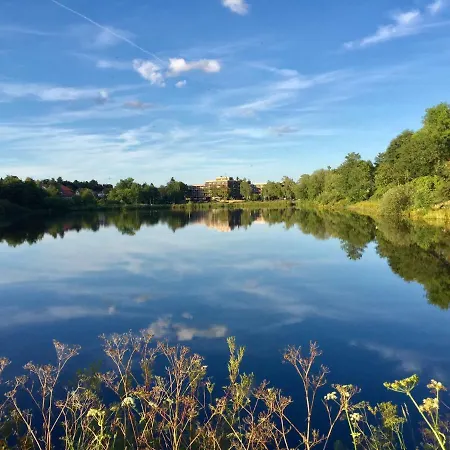 Seesicht Am Kranichsee