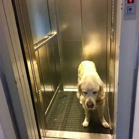 Seesicht Am Kranichsee