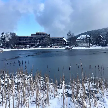 Seesicht Am Kranichsee * Goslar