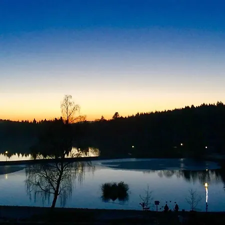 Seesicht Am Kranichsee * Goslar