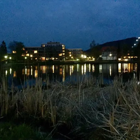 Seesicht Am Kranichsee
