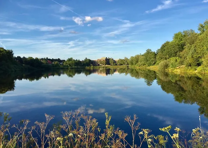 Seesicht Am Kranichsee