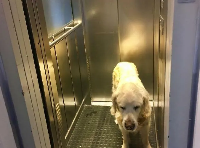 Seesicht Am Kranichsee