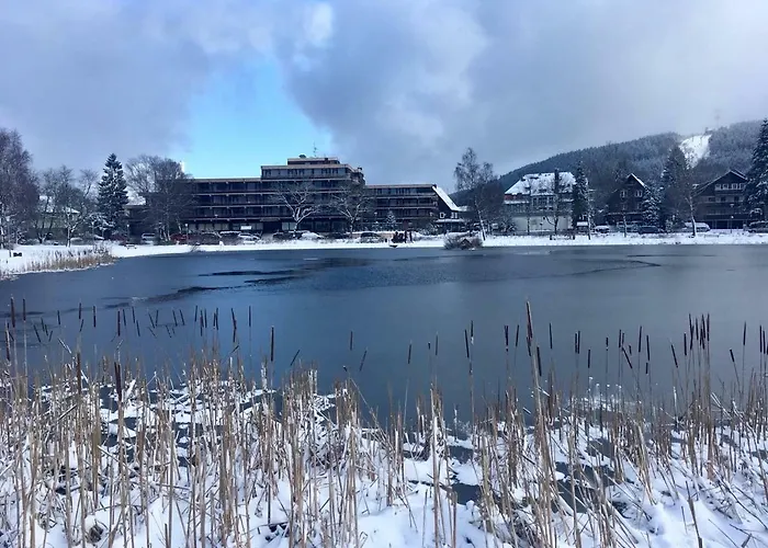 Seesicht Am Kranichsee * Goslar