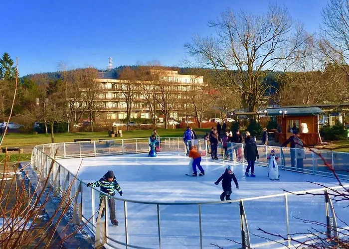 Seesicht Am Kranichsee Goslar