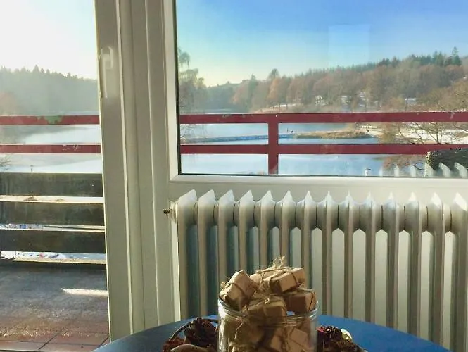 Seesicht Am Kranichsee Goslar