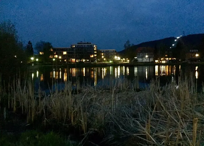 Seesicht Am Kranichsee